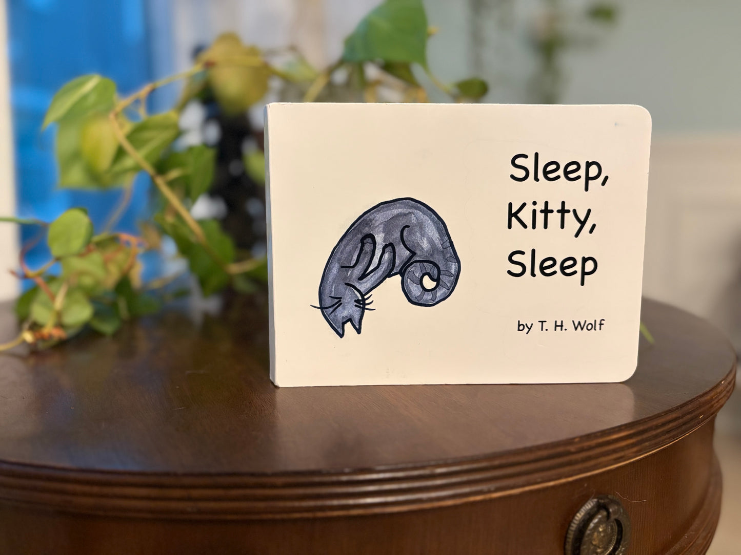 Sleep Kitty Sleep – Discover this Funny Bedtime Board Book for Kids and Cat Lovers!
